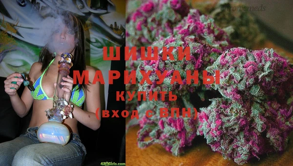 экстази Няндома
