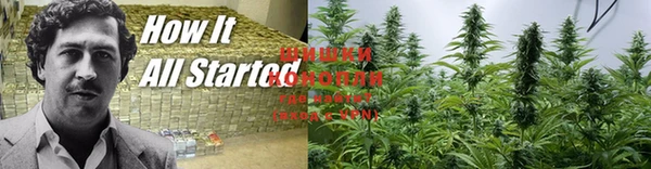 MESCALINE Абаза