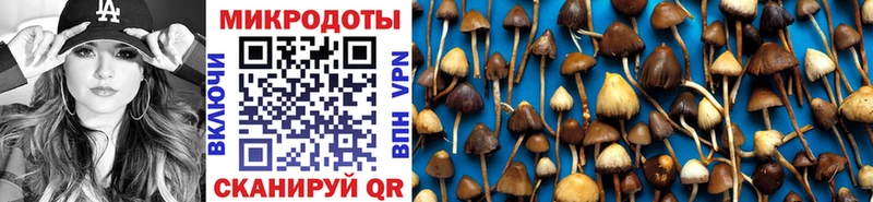 Галлюциногенные грибы мухоморы  как найти закладки  Заринск 